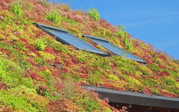 Turkdean living roof systems