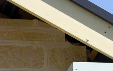 soffit repair Turkdean